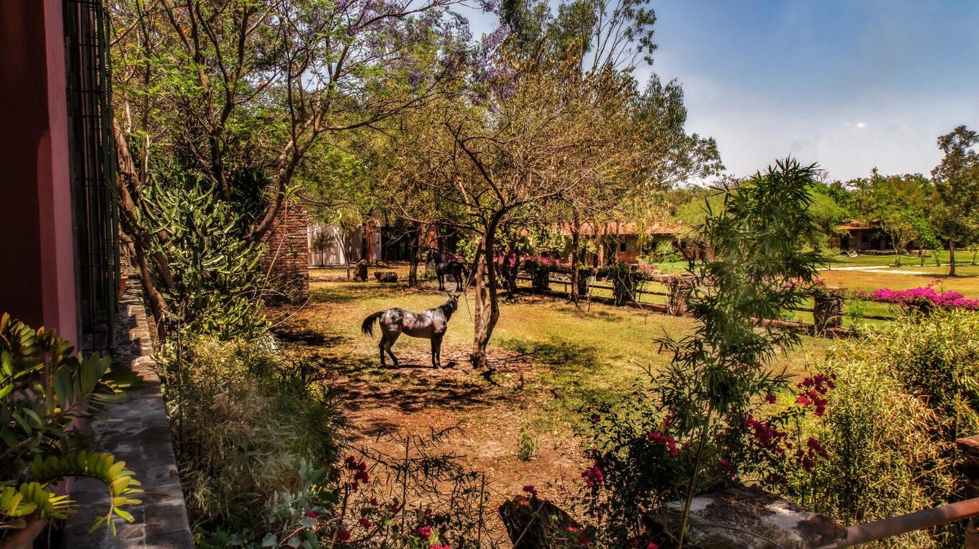 Hacienda Labor De Rivera Hotel Boutique & Eventos Teuchitlán エクステリア 写真